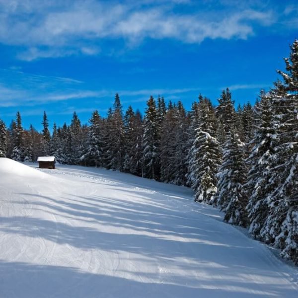 skifahren-am-kronplatz-im-pustertal-urlaub-auf-dem-fuchshof-14