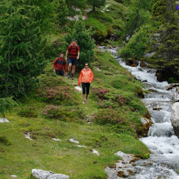 hiking-dolomites-val-pusteria-farm-holidays-fuchshof-03