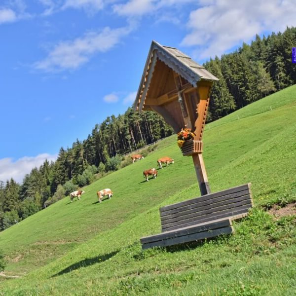 escursioni-dolomiti-in-val-pusteria-vacanze-sul-maso-fuchshof-07