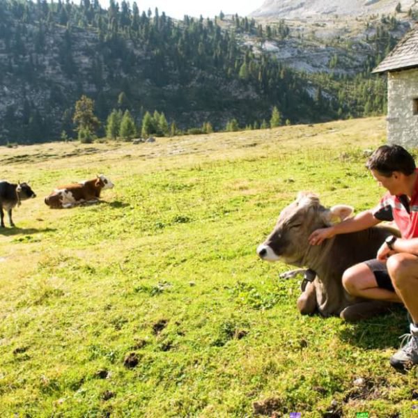 wanderfreuden-in-den-dolomiten-im-pustertal-urlaub-auf-dem-fuchshof-13